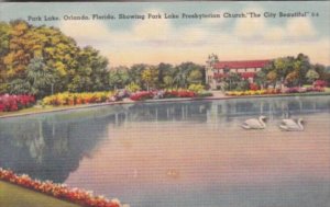 Florida Orlando White Swans On Park Lake Showing Park Lake Presbyterian Churc...