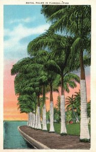 Vintage Postcard 1937 Royal Palms Just A Corner Of Heavens Balmy Breeze Florida