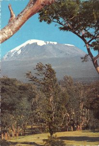 US31 postcard East Africa Mount Kilimanjaro kenya