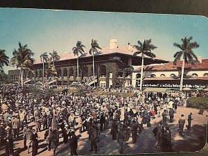 Postcard RPPC Crowd at Hialeah Park Races in Miami, FL.    T6.