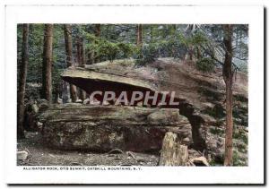Postcard Modern Alligator Rock Otis Summit Catskill Mountains