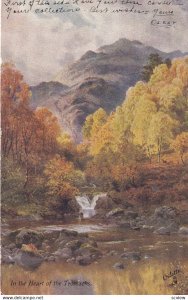 SCOTLAND, PU-1905; In The Heart Of The Trossachs, TUCK No. 7350