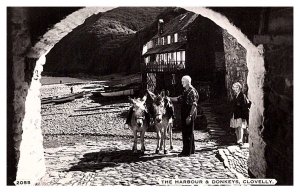 Clovelly , The Harbour and Donkeys