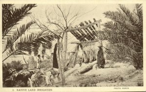 PC CPA IRAQ, NATIVE LAND IRRIGATION, VINTAGE POSTCARD (b16274)