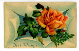 Greeting - General, Best Wishes, Good Luck, etc…