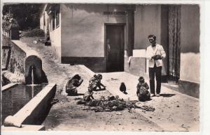 BLIDA ALGERIE GORGES DE LA CHIFFA HOTEL DU RUISSEAU DES SINGES FEEDING MONKEYS