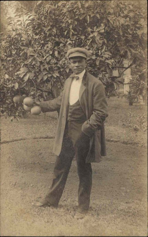 Well-Dressed Man Black Americana Fine Photography Fruit Tree c1910 Real Photo RP