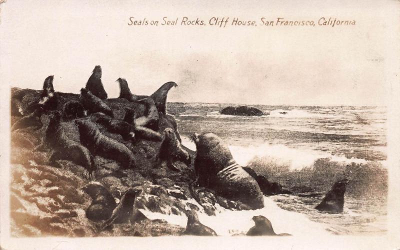 Seals on Seal Rocks, San Francisco, Early Real Photo Postcard, Unused
