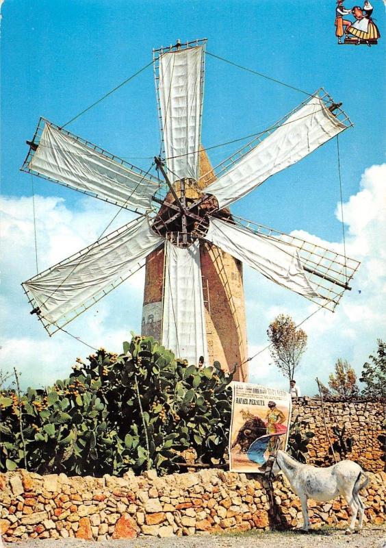 BT1224 mallorca donkey typic sight spain moulin a vent windmill mill