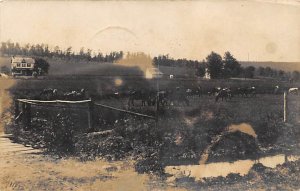 Horses in field with house in bakground real photo - Birdell, Pennsylvania PA  