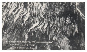 The Fretted Roof of Cathedral Chamber Crystal Cave Berks Co PA RPPC Postcard