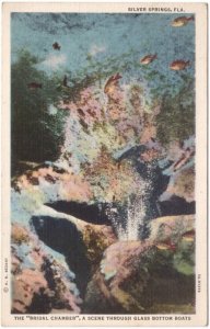 Bridal Chamber From Glass Bottom Boat, Silver Springs, Florida, Linen Postcard