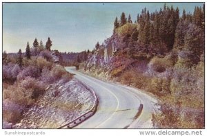 Scene Near The Summiit Of Mcdonald Pass In Helena National Forest 1957Butte M...