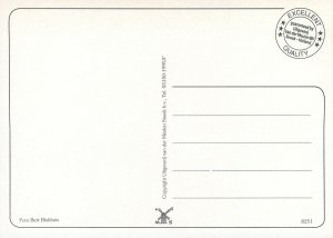 Postcard Netherlands ( WIND MILL ) mill setup on waterfront rowboat