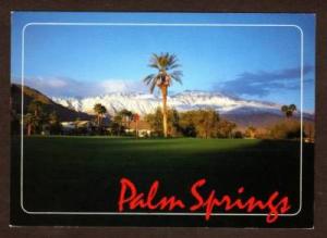 CA Golf Course Golfing PALM SPRINGS CALIFORNIA Postcard