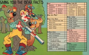 Vintage Postcard Correspondence Card Giving You the Bear Facts