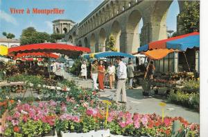 BF24660 montpellier herault le marche au fleurs  france  front/back image