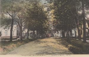 White Street - Holley NY, New York - A. H. Fisk Card - DB