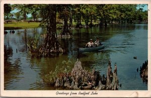 Greetings from Reelfoot Lake TN Postcard PC400
