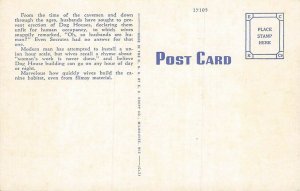 C-100 Ray Walters Comic Send Me A Postcard Daily Dog Curt Teich Postcard