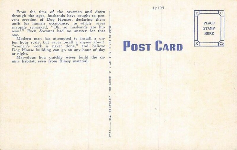 C-100 Ray Walters Comic Send Me A Postcard Daily Dog Curt Teich Postcard
