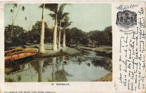 c.1900, PMC, Beautiful Hawaii Island Curio, Moanalua, Aloha Nui, Old Postcard