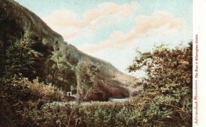 Vintage Postcard 1900's The River in Wilmington Notch Adirondack Mountains N.Y.