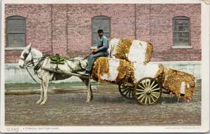 A Typical Cotton Cart Wagon White Horse UNUSED Phostint Postcard E54