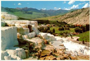 Yellowstone National Park Minerva Terrace Mammoth Hot Springs