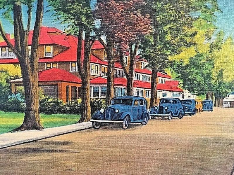 Postcard The Sugar Maples, Maplecrest, in the Catskills, NY    W3