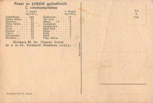 Vintage health propaganda C Vitamin table on the backside Hungary fruits grapes