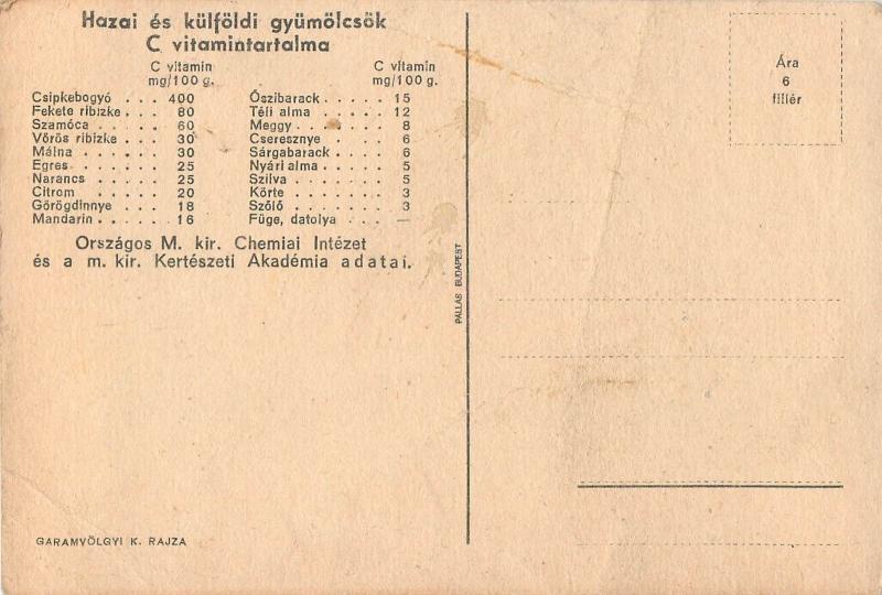 Vintage health propaganda C Vitamin table on the backside Hungary fruits grapes