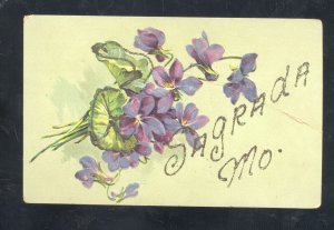 SAYRADA MISSOURI PURPLE FLOWERS SAGRADA MO. VINTAGE POSTCARD