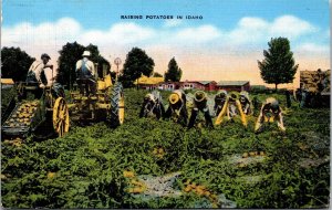 Vtg Raising Potatoes in Idaho ID Farm Hands Farming Tractor 1940s Linen Postcard