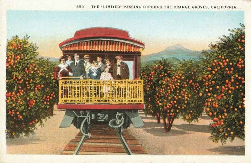 Postcard The Limited Passing Through Orange Groves California