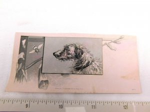 Lovely Engraved Shaggy Dog Bust Bumble Bee Blossoms Farmer, Livermore & Co F29