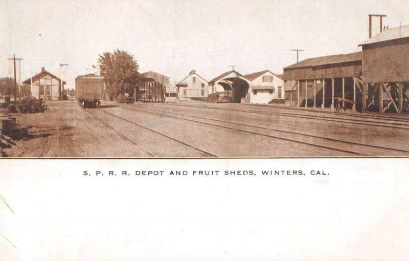 Winters California Train Station and Fruit Sheds Vintage Postcard AA41524