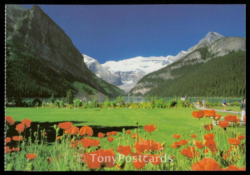 Lake Louise & Poppies