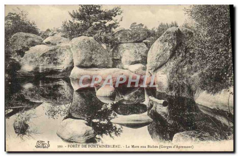 Old Postcard Foret De Fontainebleau La Mare aux Biches Gorges d & # 39Apremont