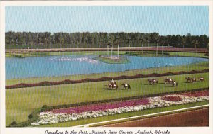 Horse Racing Parading To The Post Hialeah Race Course Hialeah Florida