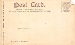 The fisherman's return Unused