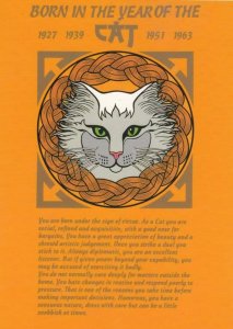 The Year Of The Cat Chinese Horoscope Zodiac Starsign Postcard