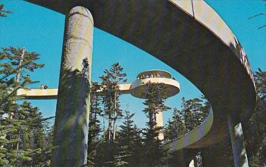 Observation Tower On Clingmans Dome Great Smoky Mountains National Park Tenne...