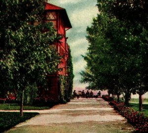 Union Printers Home Walk & Driveway Colorado Springs Colorado CO UNP Postcard