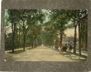 PITTSFIELD MA 1908 HORSE BUGGY ANTQUE CAR Postcard