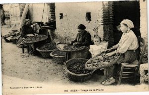 CPA AGEN - Triage de la Prune (210717)