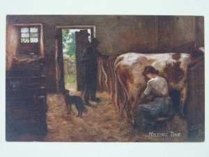 Scottish Life & Character MILKING TIME c1908 Postcard by Raphael Tuck 9343