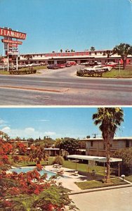 Flamingo Motor Hotel Postcard