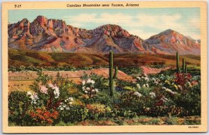 VINTAGE POSTCARD CATALINA MOUNTAINS AND DESERT SCENERY NEAR TUSCON ARIZONA