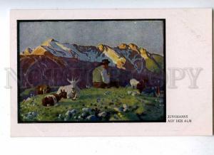 187994 Alm Goats & shepherd by JUNGHANNS Vintage postcard